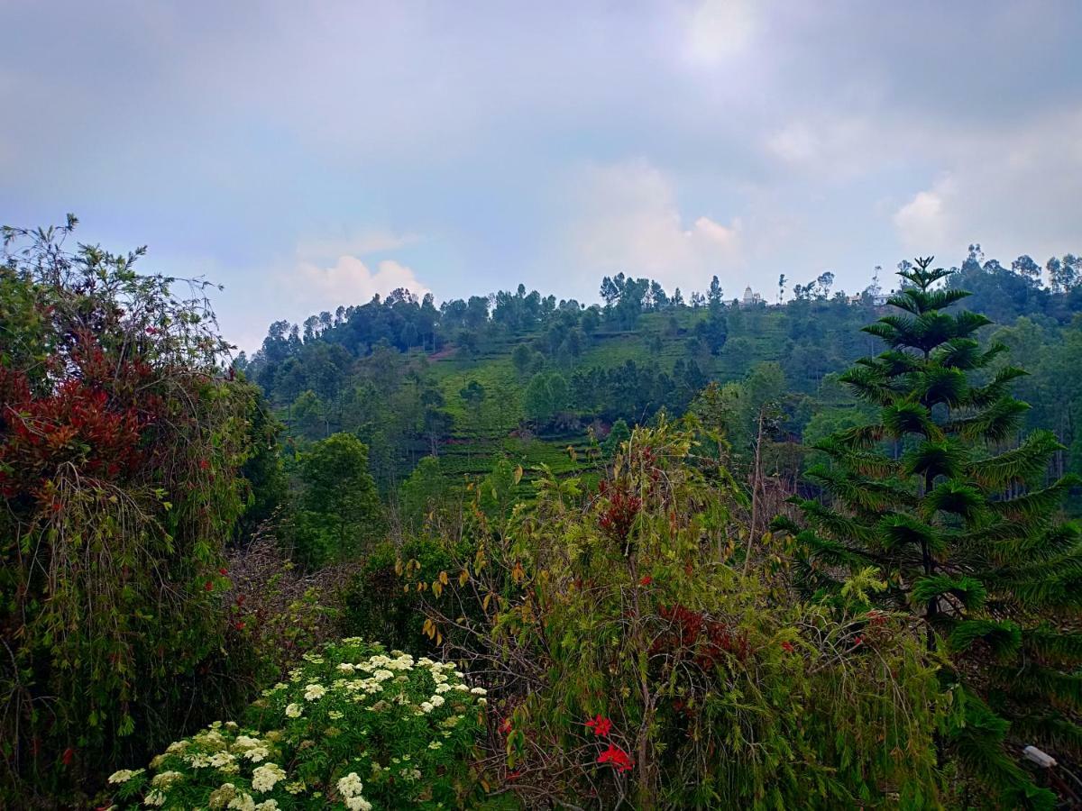 Pear Tree Inn Villa โกตากิริ ภายนอก รูปภาพ