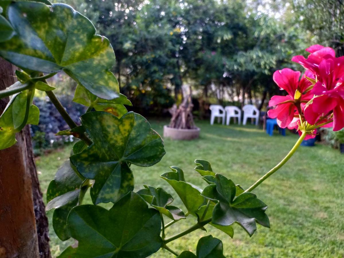 Pear Tree Inn Villa โกตากิริ ภายนอก รูปภาพ
